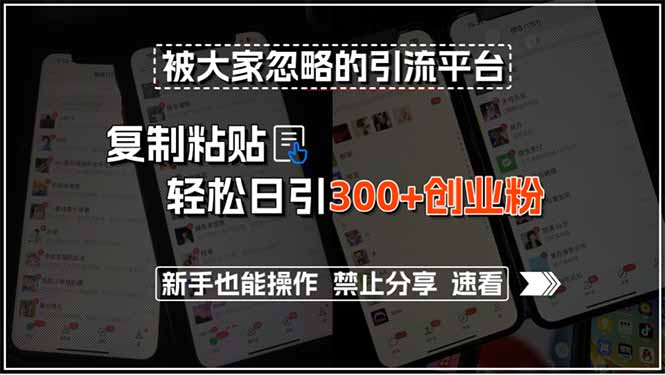 被大家忽略的引流平台，复制粘贴轻松日引300+创业粉，新手也能操作，禁…-云动网创-专注网络创业项目推广与实战，致力于打造一个高质量的网络创业搞钱圈子。