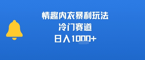 情趣内衣暴利玩法，冷门赛道，日入1k+-云动网创-专注网络创业项目推广与实战，致力于打造一个高质量的网络创业搞钱圈子。