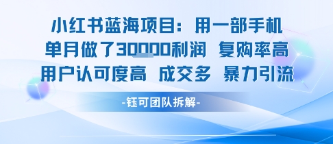 小红书蓝海项目，一部手机单月做了3W利润，小白也能月入过1W用户认可度高成交多-云动网创-专注网络创业项目推广与实战，致力于打造一个高质量的网络创业搞钱圈子。
